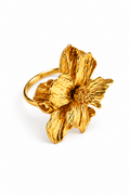 ANILLO ISABELLE