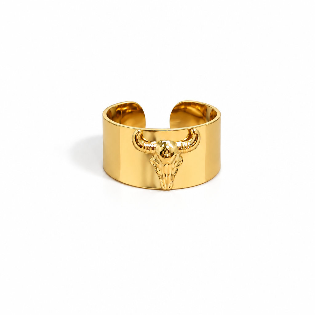 ANILLO DAKOTA